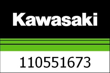 Kawasaki / カワサキ ブラケット, FI ワーニング ランプ | 110551673