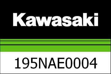 Kawasaki / カワサキ TOMTOM RIDER 550 | 195NAE0004