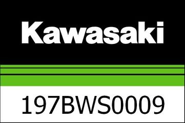 Kawasaki / カワサキ "ホイールリムリング,""GP"" シルバー" | 197BWS0009