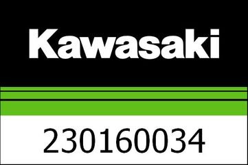 Kawasaki / カワサキ ランプ-アッシー,FI ワーニング | 230160034