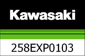 Kawasaki / カワサキ エギゾーストシステムコンプリート (Euro5) | 258EXP0103