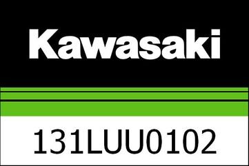 Kawasaki / カワサキ パニア カバー 35K/45Q キャンディ フラット ブレイズ グリーン | 131LUU0102