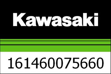 Kawasaki / カワサキ カバー リア シート | 161460075660