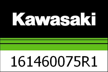 Kawasaki / カワサキ カバー-アッシー, シングル シート, パールアルペン ホワイト | 161460075R1