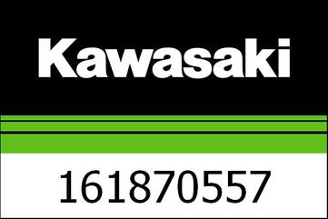 Kawasaki / カワサキ ニードル　ジェット,NRJA | 161870557