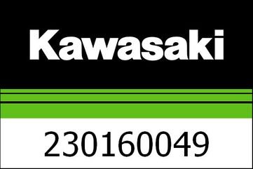 Kawasaki / カワサキ ランプ-アッシー,FI ワーニング | 230160049