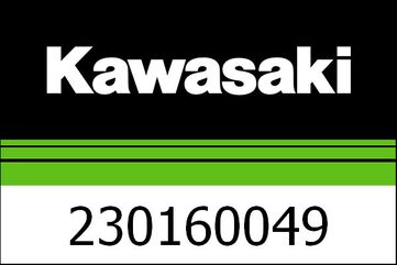 Kawasaki / カワサキ ランプ-アッシー,FI ワーニング | 230160049