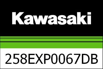 Kawasaki / カワサキ DB キラー エグゾースト AKRAPOVIC | 258EXP0067DB