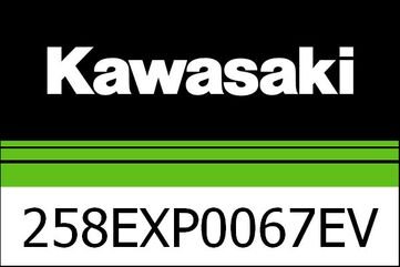 Kawasaki / カワサキ カーボン AKRA エグゾースト バルブ CV | 258EXP0067EVC
