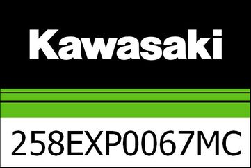 Kawasaki / カワサキ マフラー Cランプ EXH AKRAPOVIC | 258EXP0067MCC