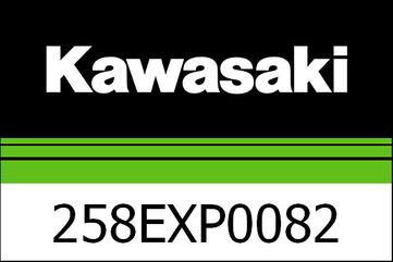 Kawasaki / カワサキ AKRAPOVIC デュアル エグゾースト T | 258EXP0082