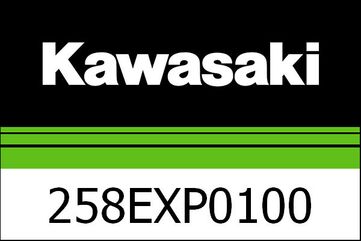 Kawasaki / カワサキ エギゾースト チタニウム Z900 20 | 258EXP0100