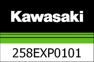 Kawasaki / カワサキ エグゾースト カーボン Z900 20MY | 258EXP0101