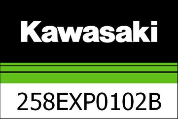 Kawasaki / カワサキ エグゾースト フル,TI. キャット EU5 | 258EXP0102B