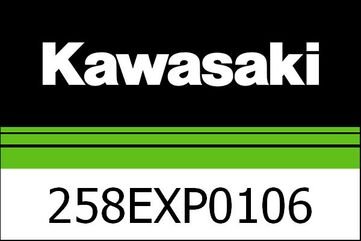 Kawasaki / カワサキ エグゾースト カーボン Z900-70KW | 258EXP0106