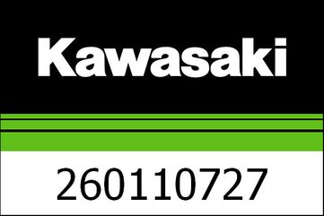 Kawasaki / カワサキ ワイヤーリード, グリーン | 260110727
