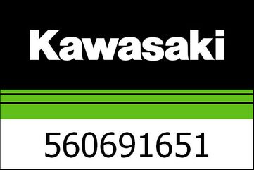 Kawasaki / カワサキ パターン,ホイール,シルバー | 560691651