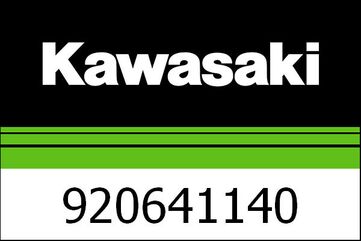 Kawasaki / カワサキ ジェット パイロット, #40 (-) | 920641140
