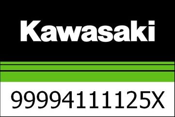 Kawasaki / カワサキ キット, シングル シート カバー, メタリック ムーンダスト グレイ | 99994111125X