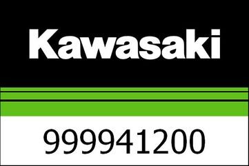 Kawasaki / カワサキ ニーパッド | 999941200