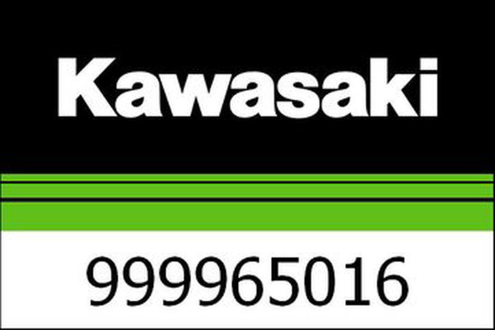Kawasaki / カワサキ ドライブチェーン キット Versys10 | 999965016