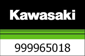 Kawasaki / カワサキ ドライブチェーン キット Z900RS | 999965018