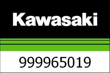 Kawasaki / カワサキ ドライブチェーン キット Z900 | 999965019