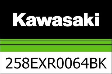 Kawasaki / カワサキ ブラケット H2R W/OHLINS '17 | 258EXR0064BK2