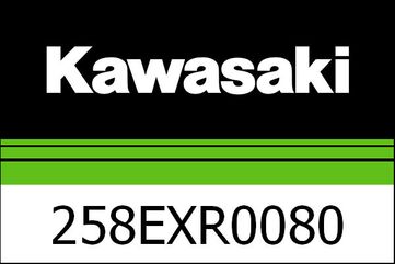 Kawasaki / カワサキ レースエグゾースト EVO システム ZX1 | 258EXR0080