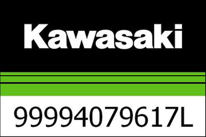 Kawasaki / カワサキ キット, シングル シート カバー, キャンディバーン オレンジ | 99994079617L