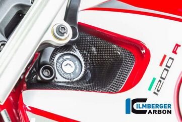 ILMBERGER / イルムバーガーカーボンパーツ イグニッションスイッチカバー Ducati Monster 1200R グロス | TDA.001.MR12G.K