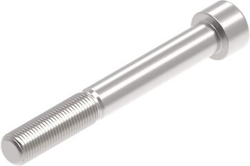 Evotech Performance Evotech Performance, EP M12 x 95 x 1.25mm Pitch Caphead - 316 S/S | PRN014212