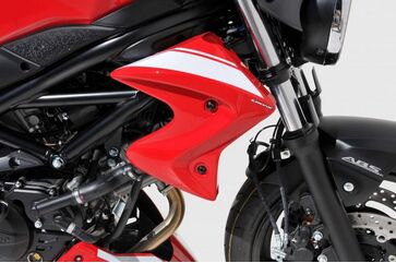 Ermax / アルマックス Cooling Air Scoops (By Pair ) Ermax / アルマックス For Sv 650 N 2016-2020 | 7604S5113