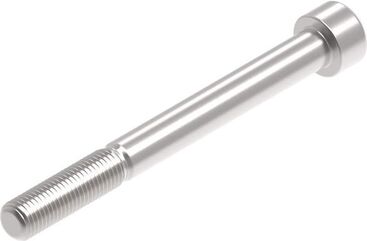 Evotech Performance Evotech Performance, EP M10 x 100 x 1.25mm Pitch Caphead - 316 S/S | PRN014298