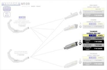 ARROW / アロー YAMAHA MT 09 '13 eマーク認証 アルミニウム T HUNDER サイレンサー カーボンエンドキャップ付 アローコレクター用 | 71812AK
