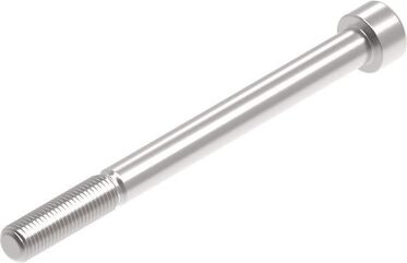 Evotech Performance Evotech Performance, EP M10 x 120 x 1.25mm Pitch Caphead - 316 S/S | PRN014274