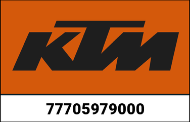 KTM / ケーティーエム AKRAPOVIC（アクラポビッチ）スリップオンライン | 77705979000