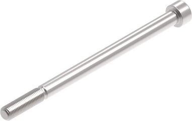 Evotech Performance Evotech Performance, EP M10 x 155 x 1.25mm Pitch Caphead - 316 S/S | PRN014421