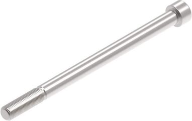 Evotech Performance Evotech Performance, EP M12 x 180 x 1.25mm Pitch Caphead - 316 S/S | PRN014729