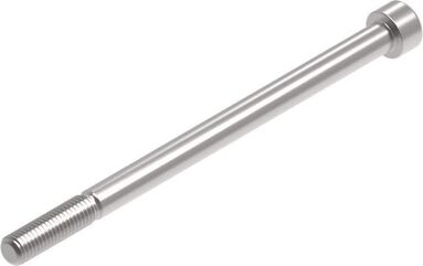 Evotech Performance Evotech Performance, EP M10 x 160 x 1.5mm Pitch Caphead - 316 S/S | PRN014549