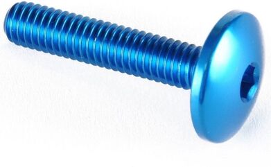Lightech / ライテック BUTTON HEAD ERGAL CL 002 M6 L. 55 | 002M6055