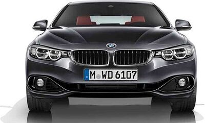 BMW 純正 F グリル LH SPORT | 51137294817 / 51 13 7 294 817