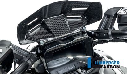 ILMBERGER / イルムバーガーカーボン ウィンドシールド Ducati ディアベル V4 2023- マット | VEO.123.DI23M.K
