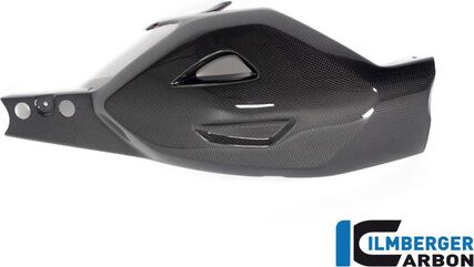 ILMBERGER / イルムバーガーカーボン スイングアームカバー Ducati ディアベル V4 2023- グロス | SSO.025.DI23G.K