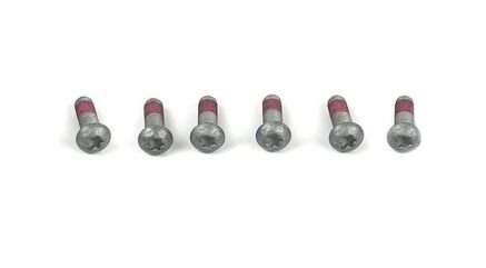 Hornig 6x screws M8x25-10.9 ZNS3 for BMW K1 and K100RS | 36317709543