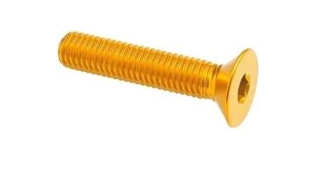 Lightech / ライテック FLAT HEAD ERGAL CL 005 M6 L. 65 | 005M6065