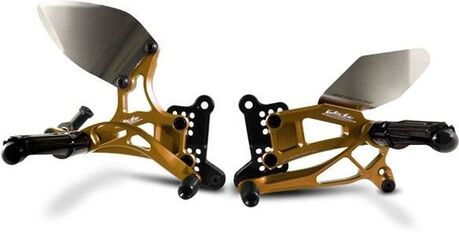 Valtermoto / バルターモト リアセット Type 2.5 リバースギア (キット) ゴールド | PEA021RT25A 03