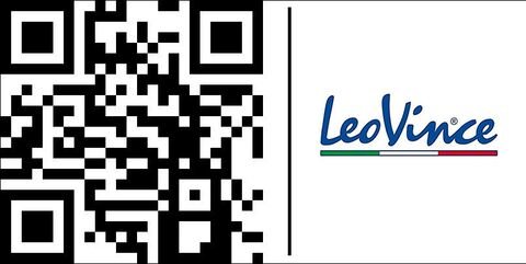 LeoVince / レオビンチ シルバーテール K02 VS GL 1400 INTRUDER om. | 2203