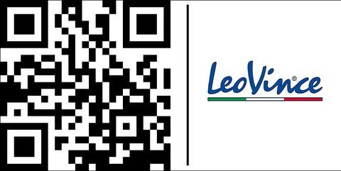 LeoVince / レオビンチ ハンドメイド TT アルミサイレンサー EU公道走行規格 | 4048