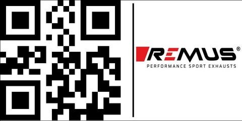 Remus / レムス 2x CUSTOM RACING スリップオン L/R and selectable endcaps, ステンレススチール ブラック, NO (EC-) APPROVAL | 007703 089920LR